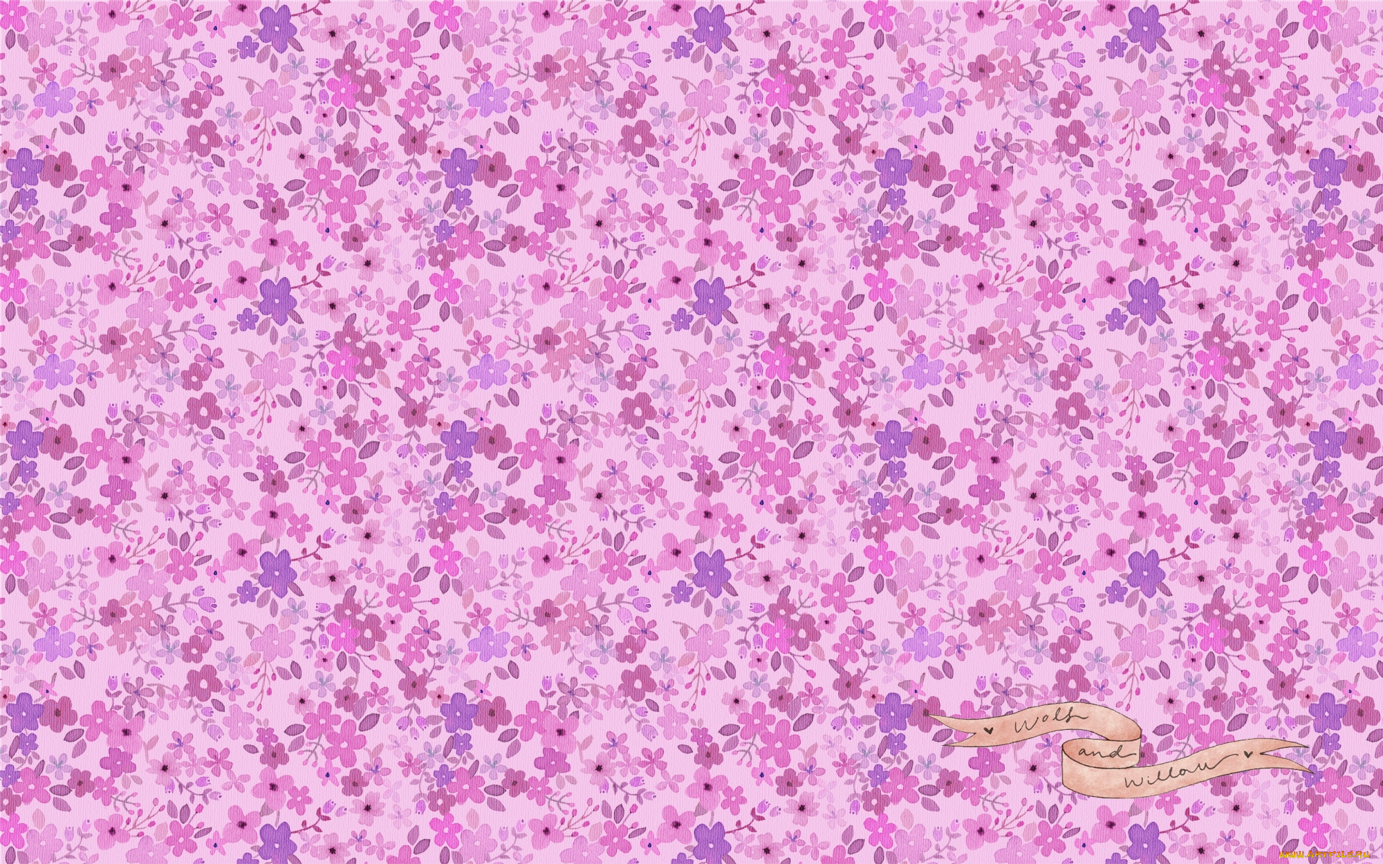  ,  , flowers, , 